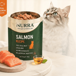 SALMON RECIPE